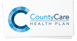 Evolent Health Print logo